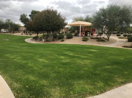 3305 Hawk Pl, Chandler AZ exterior