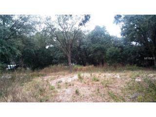 6915 Delano Ave, Tampa, FL 33619-1139