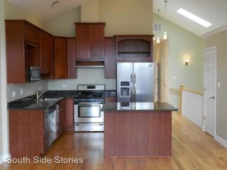 436 48th Pl, Chicago IL  60615-1404 exterior