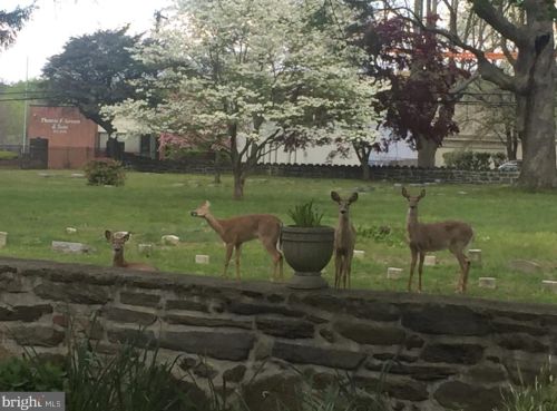 10 Meetinghouse Ln, Media PA 19064-1206 exterior