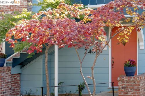 2400 Hillside, Berkeley CA 94706-1023 exterior