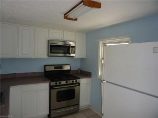 1275 Irene Rd, Cleveland OH  44124-1315 exterior