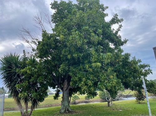 750 College Park Rd, Fort Pierce FL 34953-3334 exterior