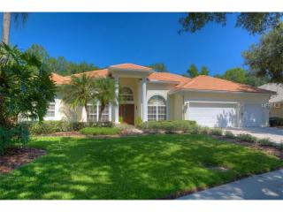 15823 Dawson Ridge Dr, Tampa, FL 33647-1322