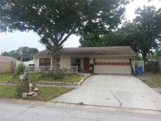 4911 Carrollwood Meadows Dr, Tampa, FL 33625-6612