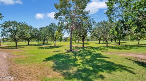 8723 9th Ave, Phoenix AZ  85021-4451 exterior