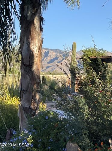 11160 Camino De La Tierra, Tucson AZ  85742-9722 exterior