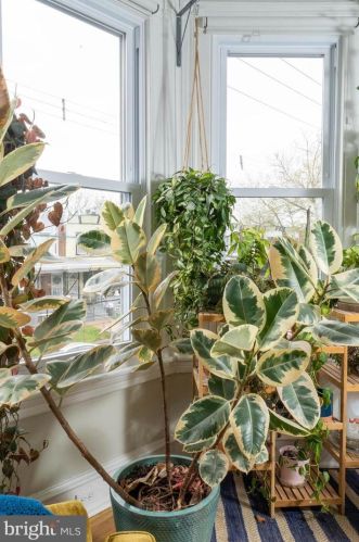 5533 Catharine St, Philadelphia PA 19143-2512 exterior