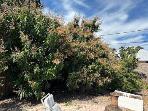 679 110th Ave, Naples FL 34108-1817 exterior