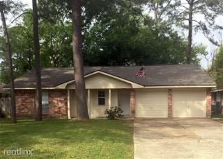 23115 Earlmist Dr, Spring TX  77373-6491 exterior