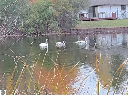 740 Witbeck Dr, Clare MI 48617-9721 exterior