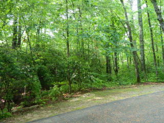 3 Country Club Est, Sapphire, NC 28774-7710