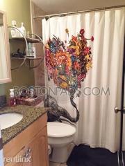 386 Riverway, Boston MA  02115-6404 exterior