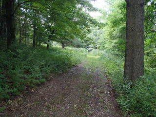 3388 4th St, Wayland, MI 49348-9419