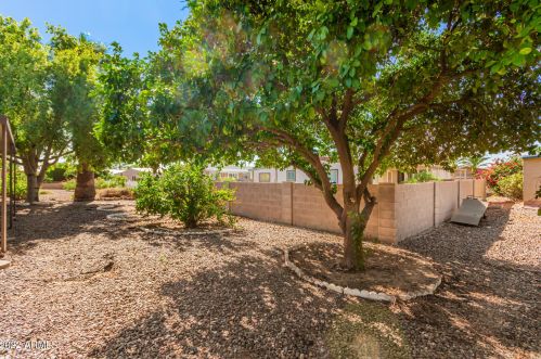9010 Olive Ln, Chandler AZ  85248-6404 exterior