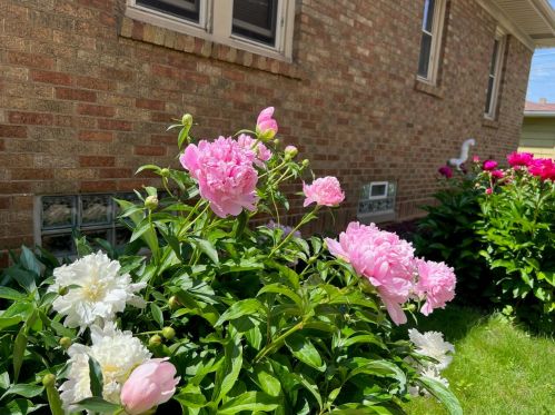 4533 41st St, Milwaukee WI  53209-5817 exterior