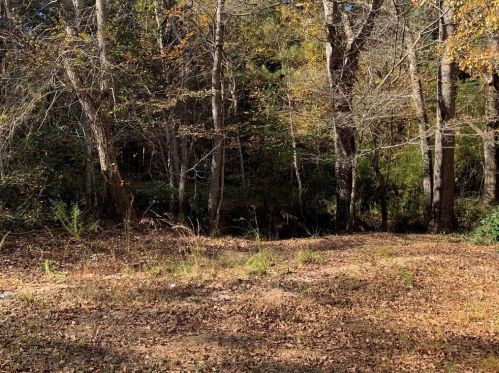 5784 Par 4 Ct, Lithonia GA 30038-1807 exterior