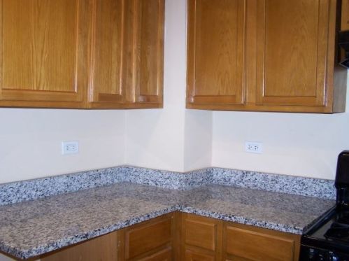 8841 Michigan Ave, Chicago IL 60628-1447 exterior