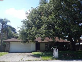 4908 Carrollwood Meadows Dr, Tampa FL  33625-6611 exterior