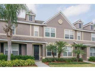 11553 Declaration Dr, Tampa, FL 33635-6342
