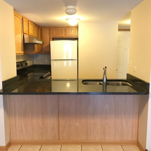 475 24th St, Chicago IL  60616-4674 exterior