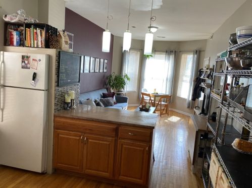 3342 Crystal St, Chicago IL 60651-2353 exterior