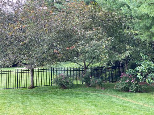 3609 Kelfrey Cv, Kalamazoo MI 49009-6158 exterior