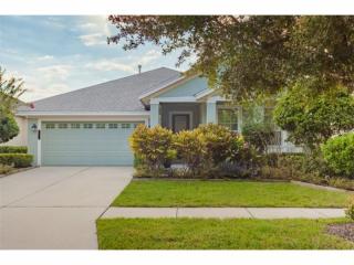 20124 Bending Creek Pl, Tampa, FL 33647-2807