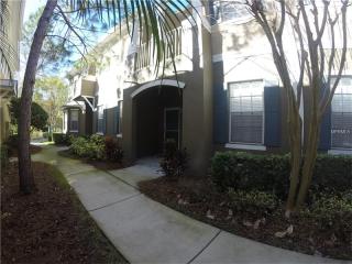 14135 Citrus Crest Cir, Tampa FL  33625-3110 exterior