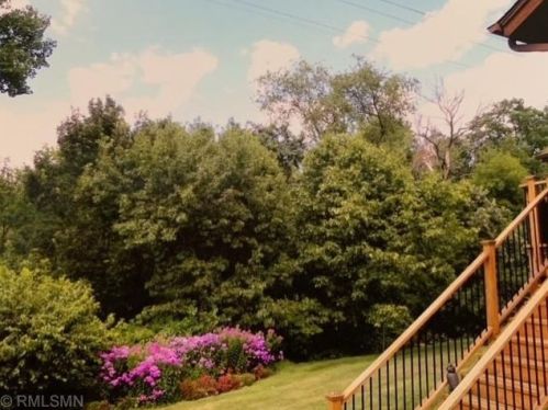 1441 Colleen Ave, Saint Paul MN 55112-1939 exterior