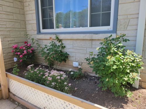 4646 51st St, Milwaukee, WI 53220-4004