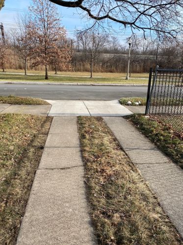 8718 Dauphin Ave, Chicago, IL 60619-6918