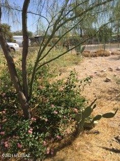 233 Adams St, Tucson AZ  85705-6533 exterior