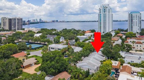 3110 Ekonomou Ct, Tampa FL  33629-8810 exterior