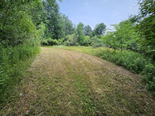 4370 192nd Ave, Hesperia MI 49421-9576 exterior