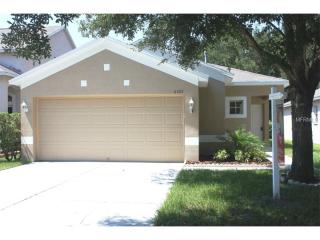 6109 Lanshire Dr, Tampa FL  33634-3042 exterior