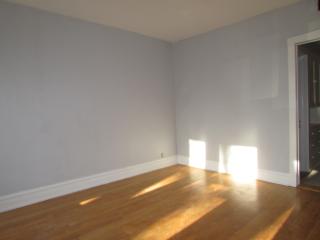 3231 Hamlin Ave, Chicago IL  60623-4910 exterior