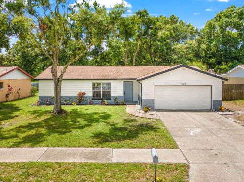 11209 Fiddlewood Dr, Riverview, FL 33579-7009