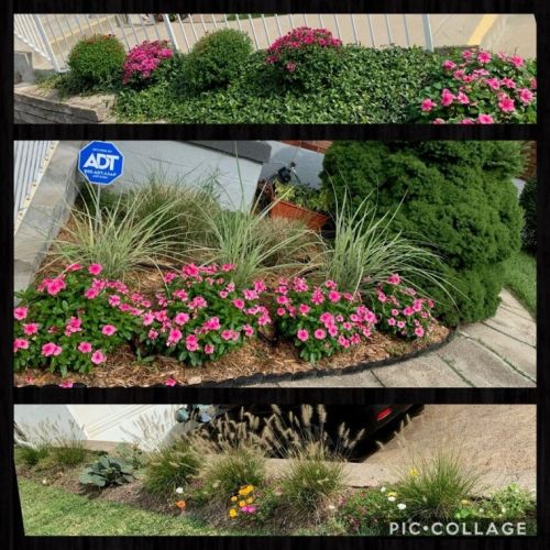 7205 Mcclure Ave, Pittsburgh PA  15218-2307 exterior