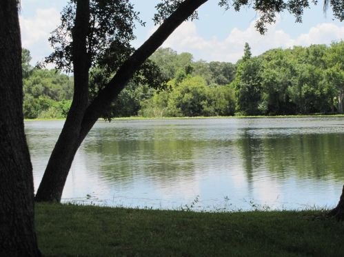 7232 Bank Dr, Tampa FL  33617-7317 exterior