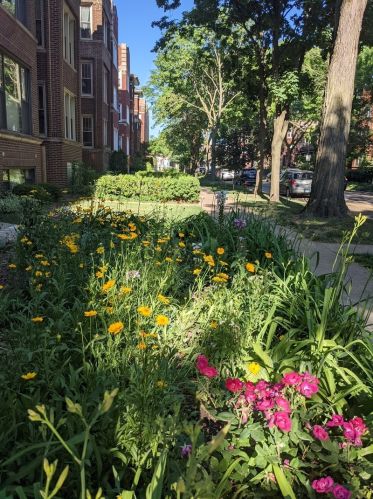 1330 Albion Ave, Chicago IL  60626-4702 exterior