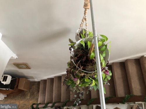 23 Walnut St, Lancaster PA 17602-2451 exterior