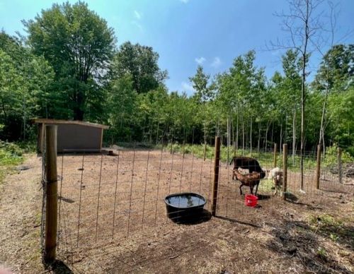 4951 118 Ave, Fennville MI 49408-9539 exterior