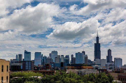 17 Loomis St, Chicago IL 60607-1902 exterior