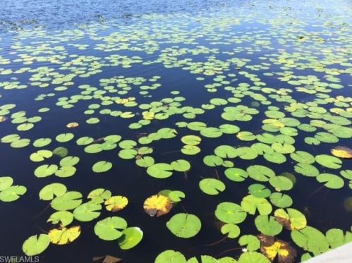 2550 Alafaya Trl, Orlando FL  12107-3607 exterior