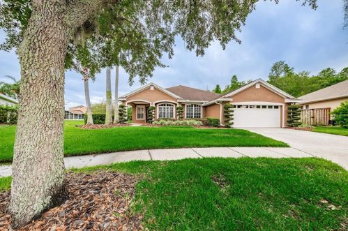 10320 Millport Dr, Tampa FL  33626-1706 exterior