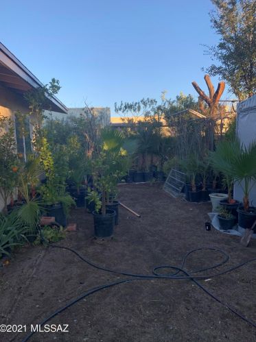 2561 Nebraska St, Tucson AZ 85757-9533 exterior