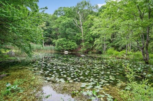 37 Walnut Hill Rd, Ridgefield CT  06877-2906 exterior