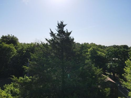 4410 Ewing Ave, Dallas TX 75216-6819 exterior