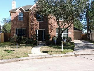 20910 Broad Hollow Ct, Spring TX  77379-4937 exterior